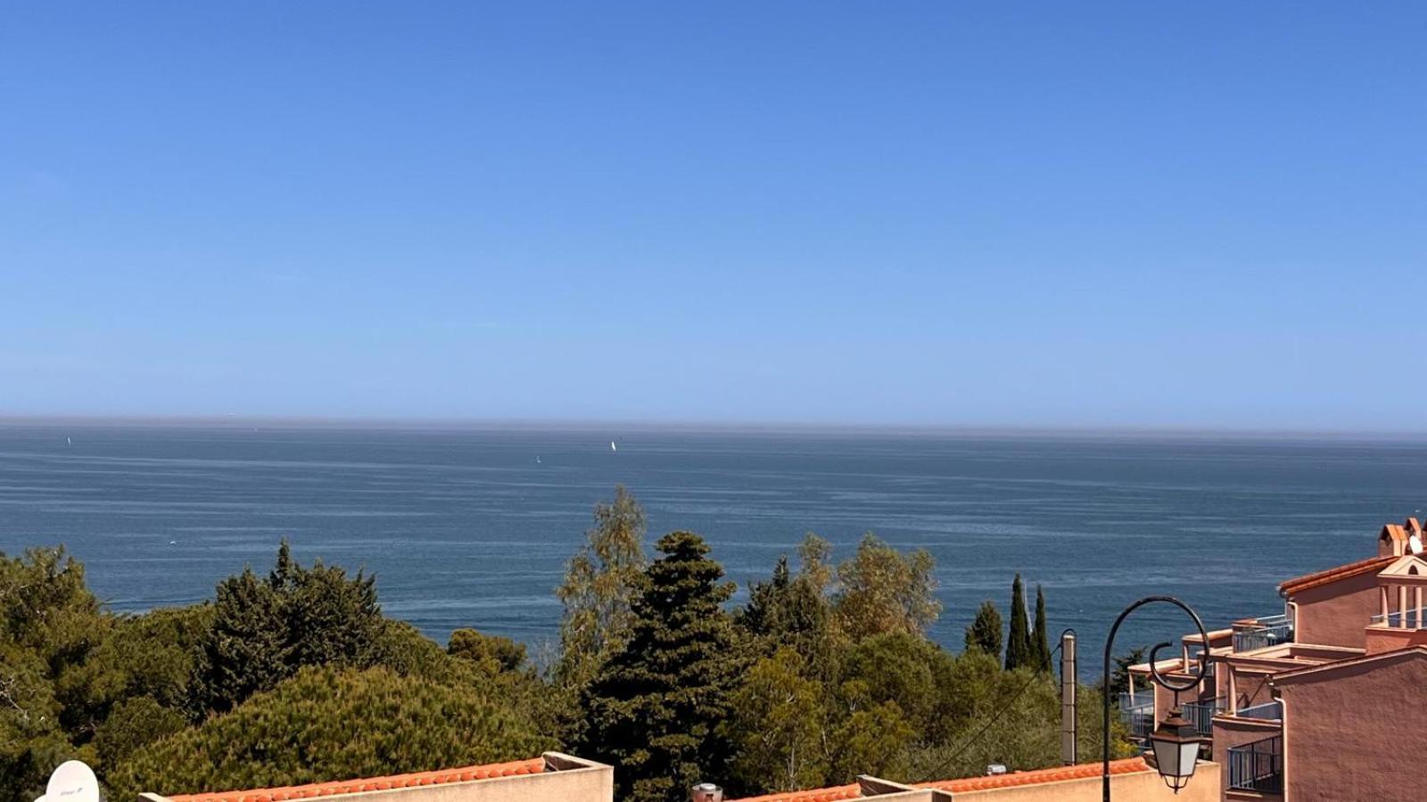 Appartement Spacieux Vue Sur Mer Collioure Eksteriør billede